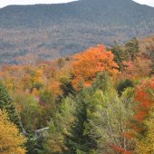  Vermont